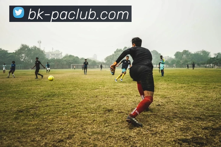 PA体育模拟器平台生态图