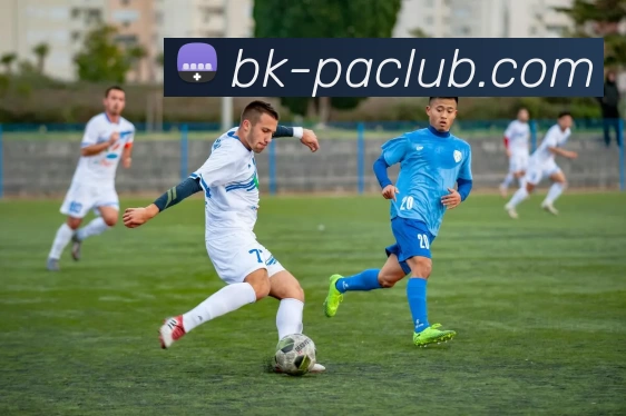 PA体育模拟器全站App